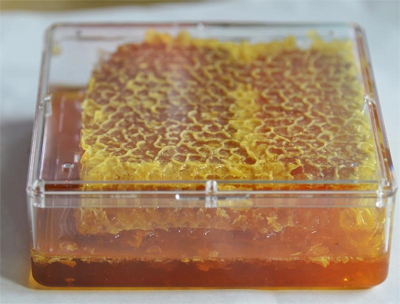  Is Eating Honey Good For You Allworth Canyon Battle Ground WA